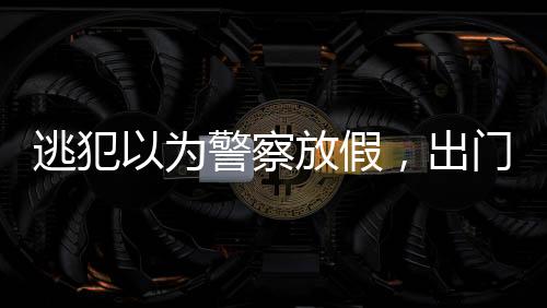 逃犯以為警察放假，出門買年貨被抓，警示廣大民眾切勿心存僥幸