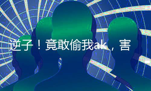 逆子！竟敢偷我ak，害老子曝光