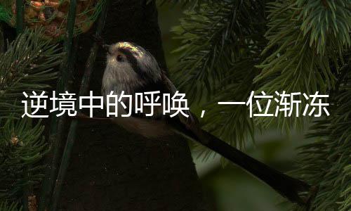 逆境中的呼喚，一位漸凍癥女生的求助故事與蔡磊的回應(yīng)