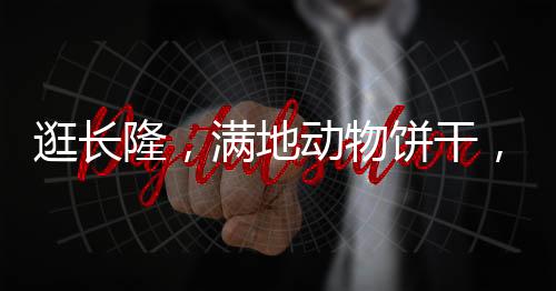 逛長隆，滿地動物餅干，開啟奇幻之旅