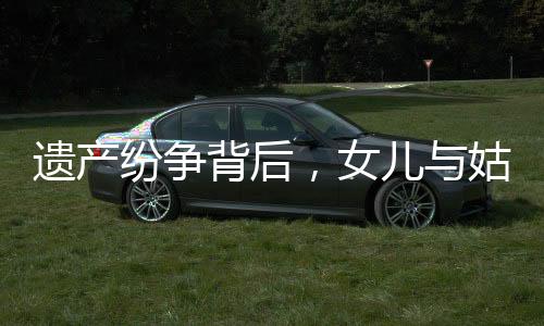 遺產(chǎn)紛爭背后，女兒與姑姑們的遺產(chǎn)分配之路