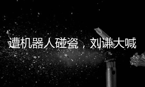 遭機(jī)器人碰瓷，劉謙大喊不是我干的