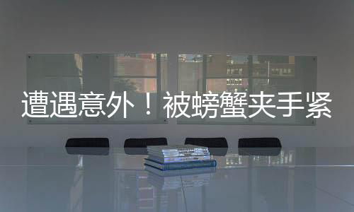 遭遇意外！被螃蟹夾手緊急求助，消防部門迅速響應(yīng)