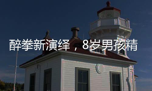 醉拳新演繹，8歲男孩精彩拜年