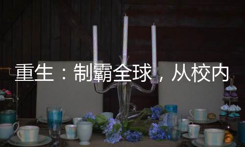重生：制霸全球，從校內(nèi)網(wǎng)開始