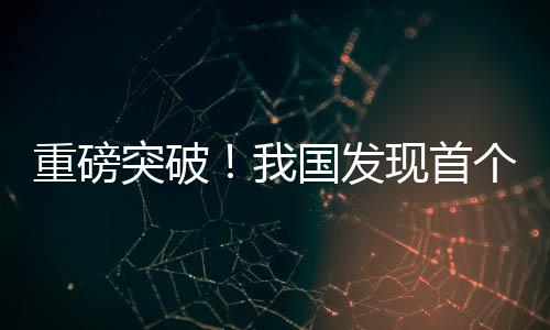重磅突破！我國(guó)發(fā)現(xiàn)首個(gè)億噸級(jí)頁(yè)巖油田，能源產(chǎn)業(yè)迎來(lái)新篇章