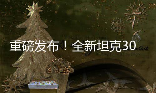 重磅發(fā)布！全新坦克300 2025款震撼上市，引領(lǐng)越野新風(fēng)尚
