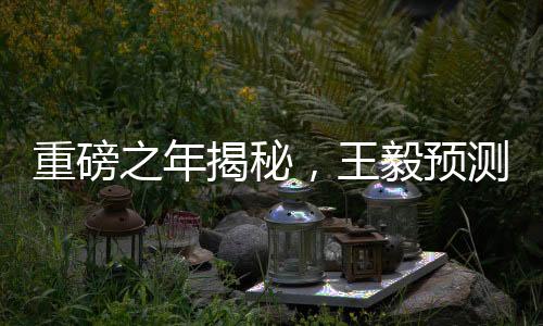 重磅之年揭秘，王毅預(yù)測引領(lǐng)2025年至潮極具歷史分量正文