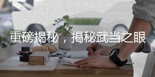 重磅揭秘，揭秘武當(dāng)之眼——揭秘武昌號(hào)驅(qū)真赴法國的真正原因及動(dòng)向解析