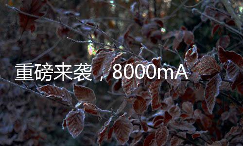 重磅來襲，8000mAh超大容量手機電池即將來臨