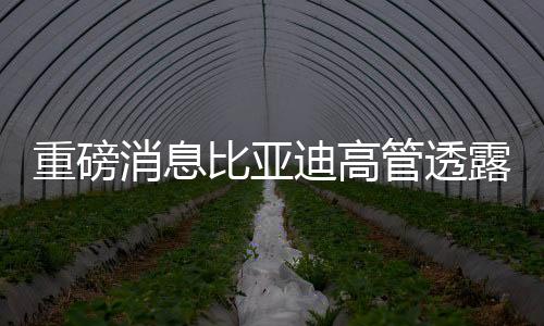 重磅消息比亞迪高管透露，靈鳶換電版屬于仰望系列，引領(lǐng)新能源汽車革新之路