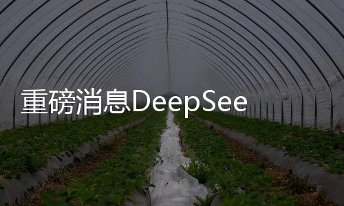 重磅消息DeepSeek-R2即將于下周發(fā)布，引領(lǐng)科技新潮流
