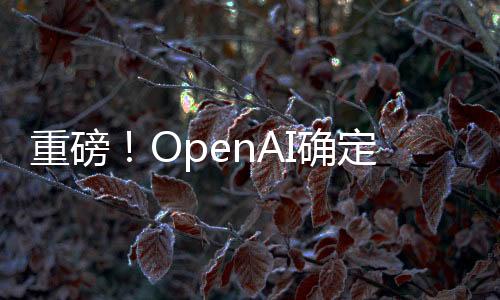 重磅！OpenAI確定GPT