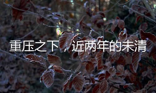 重壓之下，近兩年的未清借款，涉事人須依法履行義務(wù)