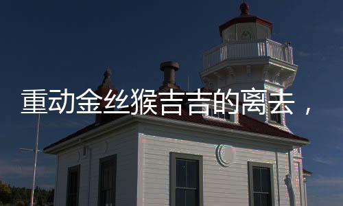重動金絲猴吉吉的離去，哀悼與反思