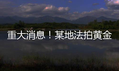 重大消息！某地法拍黃金超過三百四十斤，背后竟隱藏這樣的故事……