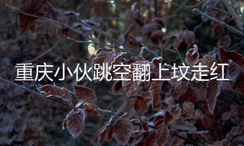 重慶小伙跳空翻上墳走紅，孝心與創(chuàng)新之舉贏得網友點贊