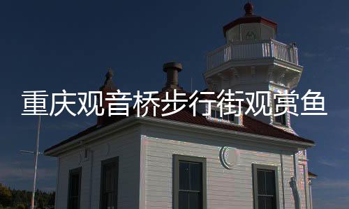重慶觀音橋步行街觀賞魚(yú)大規(guī)模死亡事件