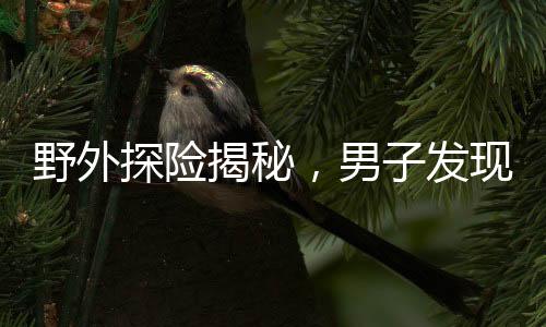 野外探險(xiǎn)揭秘，男子發(fā)現(xiàn)神秘山洞，扔石塊探深20秒未見底