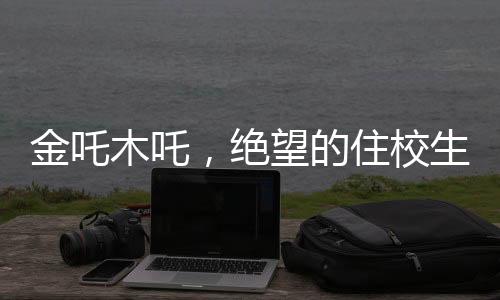 金吒木吒，絕望的住校生