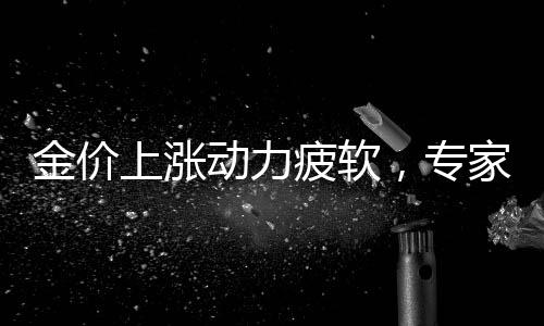 金價(jià)上漲動(dòng)力疲軟，專家預(yù)測(cè)未來(lái)難以再現(xiàn)大幅攀升