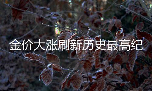 金價(jià)大漲刷新歷史最高紀(jì)錄，解析金價(jià)狂飆背后的原因及影響