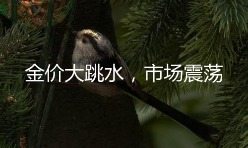 金價(jià)大跳水，市場(chǎng)震蕩