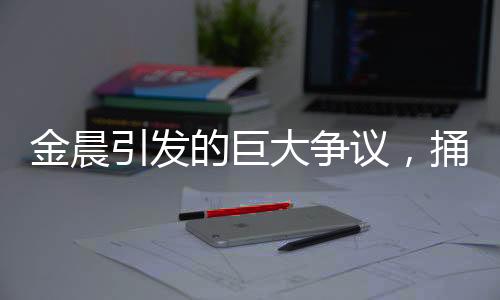 金晨引發(fā)的巨大爭(zhēng)議，捅出的簍子究竟有多大？