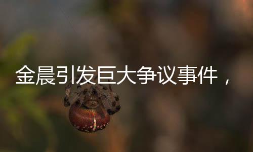金晨引發(fā)巨大爭議事件，背后原因及各方反應探究