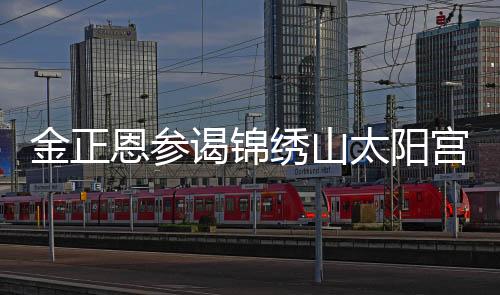 金正恩參謁錦繡山太陽宮，展現(xiàn)領(lǐng)袖風范與堅定意志