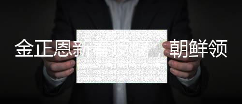 金正恩新春反腐，朝鮮領導層重塑清廉形象的新篇章