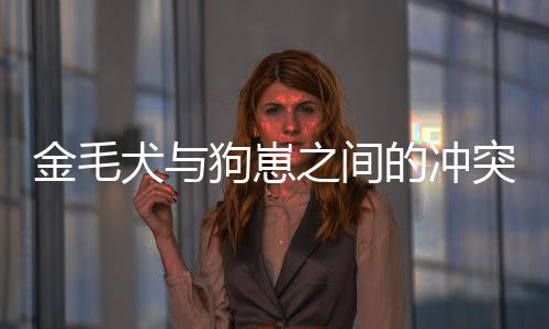 金毛犬與狗崽之間的沖突引發(fā)關(guān)注，大狗霸氣護(hù)娃報(bào)復(fù)行為揭秘
