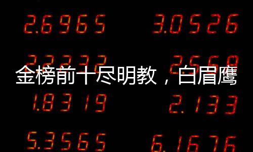 金榜前十盡明教，白眉鷹王人傻了
