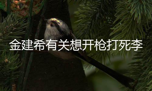 金建希有關(guān)想開槍打死李在明的言論引發(fā)的社會(huì)關(guān)注