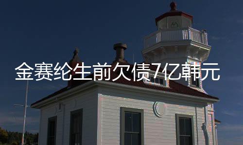 金賽綸生前欠債7億韓元，遺產(chǎn)與債務(wù)之謎揭秘