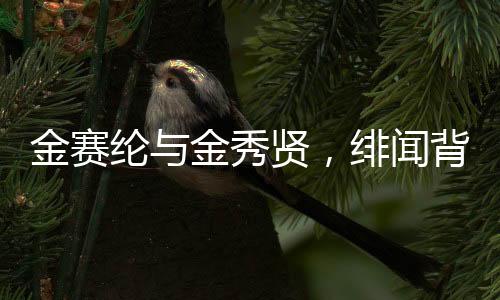 金賽綸與金秀賢，緋聞背后的故事