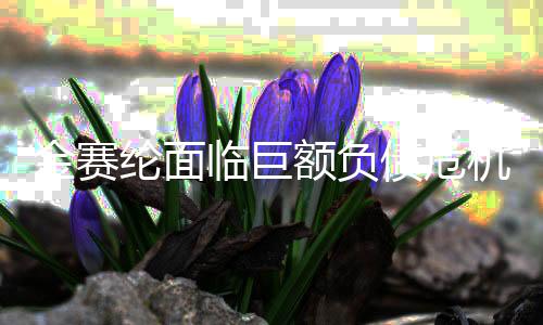 金賽綸面臨巨額負債危機，負債高達7億韓元