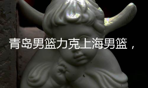 青島男籃力克上海男籃，賽場上的精彩對(duì)決