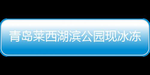 青島萊西湖濱公園現(xiàn)冰凍奇觀，冬日畫卷中的自然美景