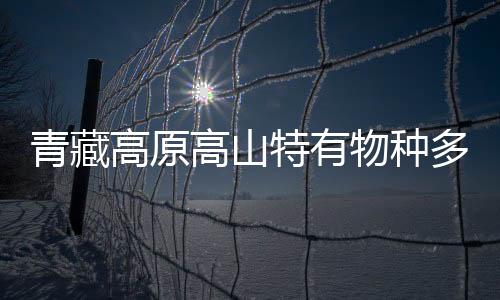 青藏高原高山特有物種多樣性如何形成？中外科學(xué)家合作研究揭秘