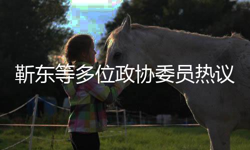 靳東等多位政協(xié)委員熱議哪吒2，文化傳承與創(chuàng)新的力量