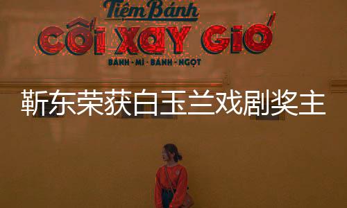 靳東榮獲白玉蘭戲劇獎主角獎，一展演技之巔