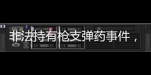 非法持有槍支彈藥事件，楊克寧被判有期徒刑十六年