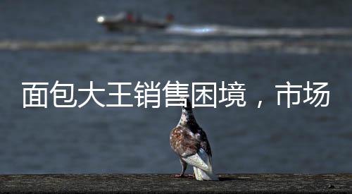 面包大王銷售困境，市場(chǎng)競(jìng)爭(zhēng)下的挑戰(zhàn)與機(jī)遇