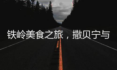 鐵嶺美食之旅，撒貝寧與賈靜雯的初體驗