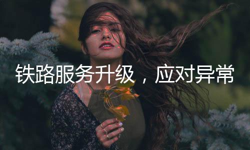 鐵路服務(wù)升級(jí)，應(yīng)對(duì)異常登錄請(qǐng)求，保障旅客信息安全——揭秘中國鐵路客戶服務(wù)中心的應(yīng)對(duì)舉措與成效分析