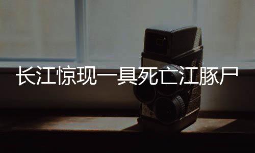 長江驚現(xiàn)一具死亡江豚尸體，引發(fā)關(guān)注與反思——生態(tài)保護(hù)的緊迫呼喚