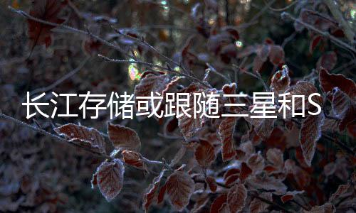 長江存儲(chǔ)或跟隨三星和SK海力士 下個(gè)月NAND閃存漲價(jià)超10%