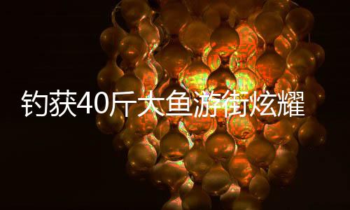 釣獲40斤大魚游街炫耀，一場別開生面的垂釣盛宴