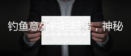 釣魚意外釣起肥豬，神秘事件引發(fā)熱議